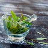 Ulei de Eucalyptus Globulus